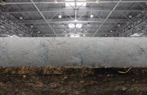  Is Moisture Damage Hiding in Your Industrial Flooring?