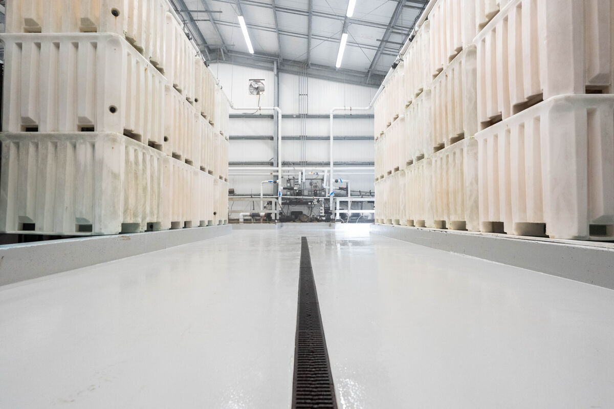  Why Industrial Floor Polishing Contractors Are Essential for Maintaining High-Traffic Areas